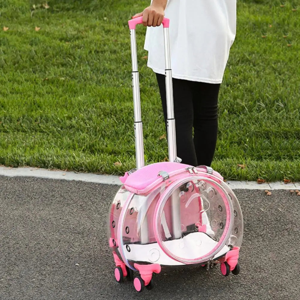 Pet Trolley Case Portable With Ventilation Holes For Cats