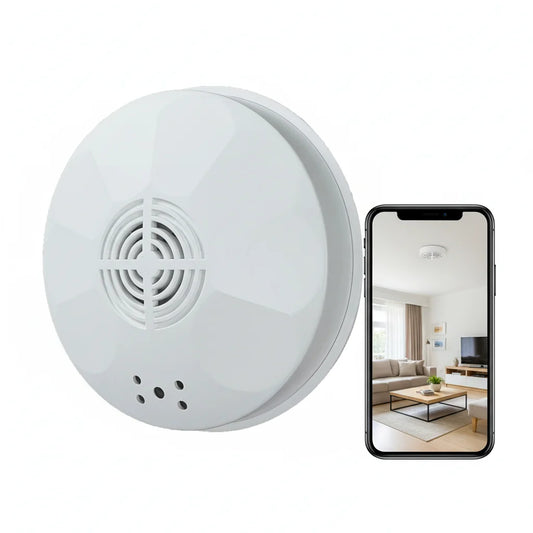 Mini 1080P Indoor Security Camera With WiFi Remote View Motion
