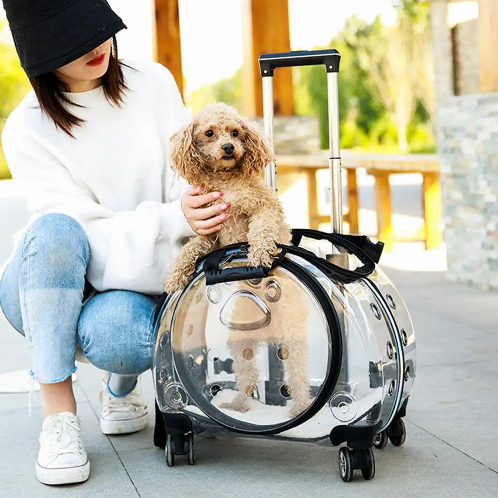 Pet Trolley Case Portable With Ventilation Holes For Cats